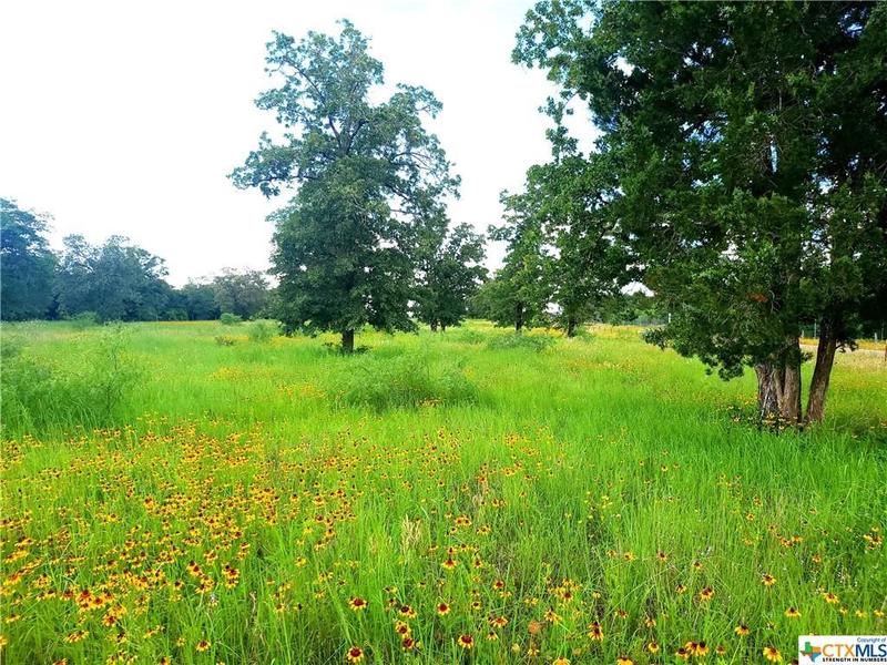 TBD Armstrong-Derry Road, Flatonia, TX 78941 for Sale