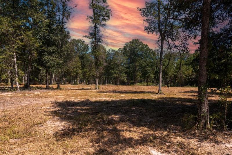 0 County Road 2195, Cleveland, TX 77327 for Sale