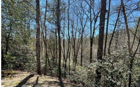 Warne, Clay County, NC Undeveloped Land, Homesites for sale Property ID: 332915042
