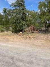 0000 Janda Ln, Brownwood, TX 76801 - MLS 20135786 for Sale