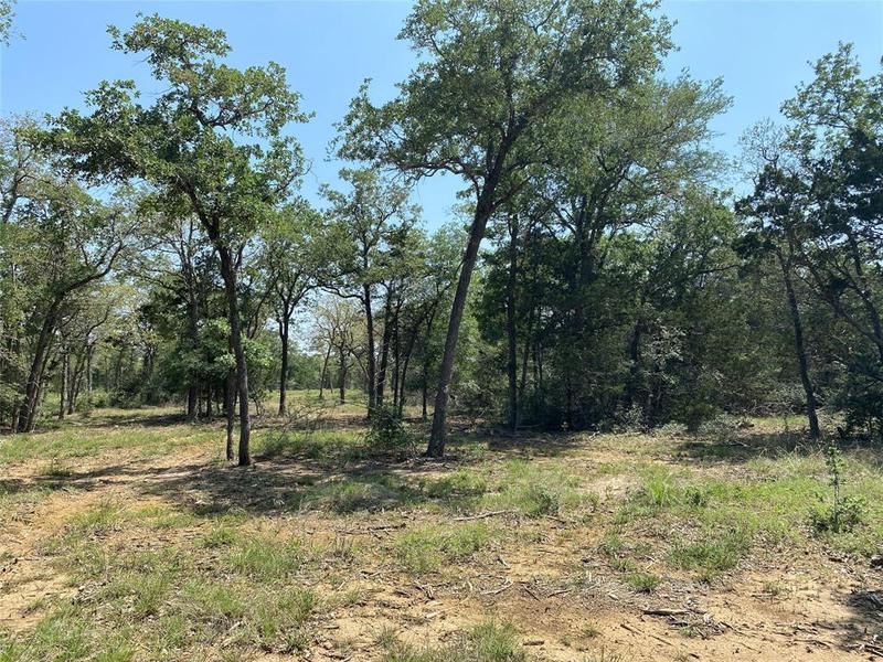 TBD High Crossing Road - Tract 7, Smithville, TX 78957 for Sale