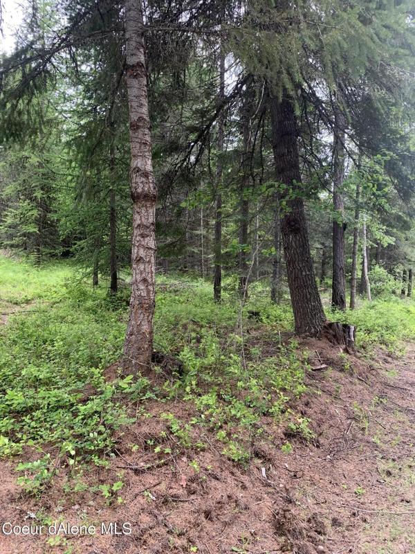 Rathdrum, Kootenai County, ID Undeveloped Land, Homesites for sale Property ID: 416856790