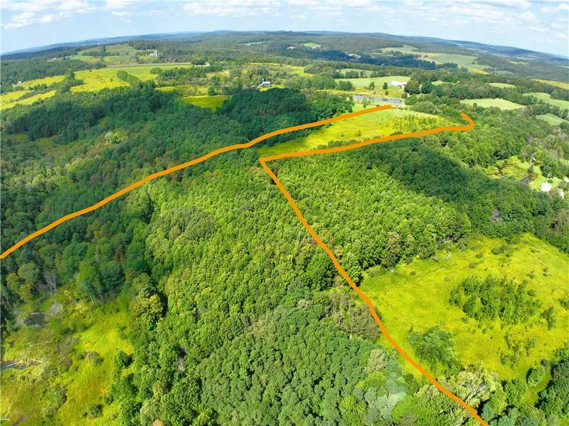 0 BRADY ROAD, Burlington Flats, NY 13315 Farm For Sale  MLS# R1474012