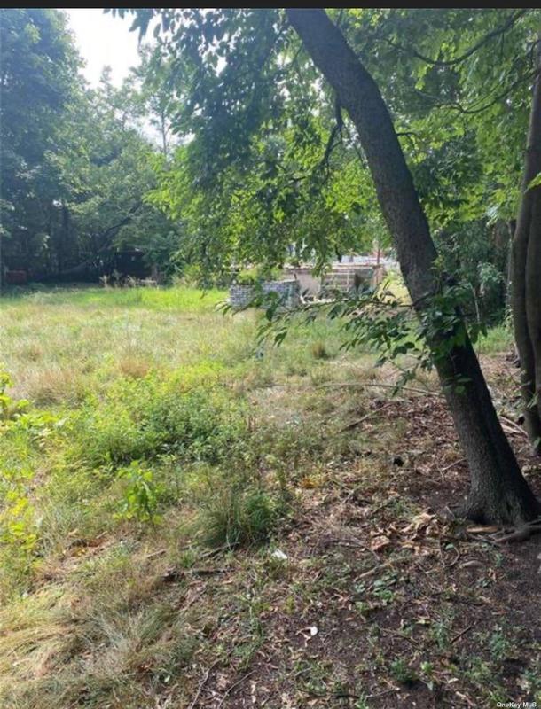 Freeport, Nassau County, NY Undeveloped Land, Homesites for sale Property ID: 417100233