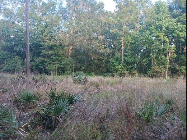 Cleveland, Liberty County, TX Undeveloped Land, Homesites for sale Property ID: 417720153