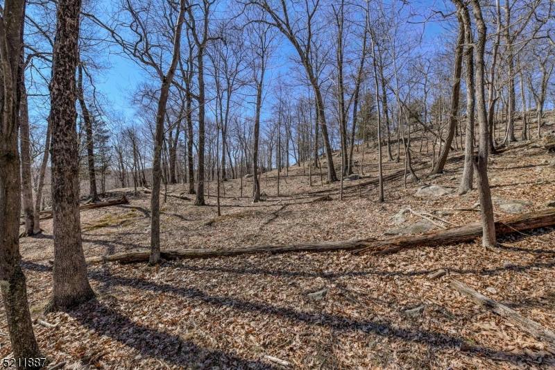 68 MAGEE RD, Ringwood Boro, NJ 07456 Land For Sale  MLS# 3870149
