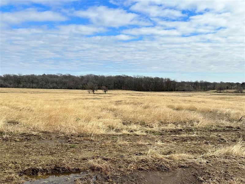 Lots 5-6 SE CR 2220, Corsicana, TX 75109 for Sale