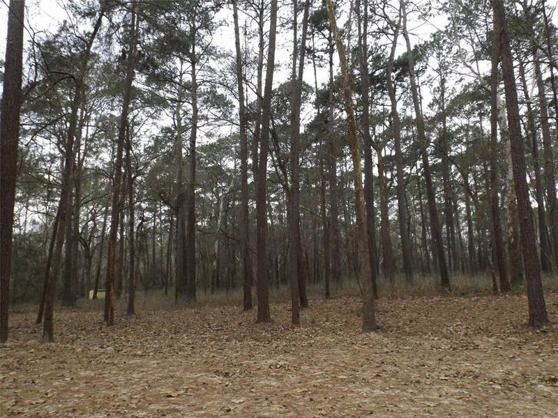 Lot 3 Block 3 Crooked Creek, Hockley, TX 77447 for Sale