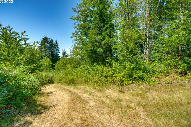 40100 NE 32nd Ave, La Center, WA 98629 - MLS 23671856 for Sale