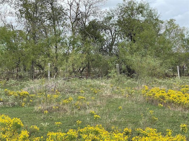 399 Farm to Market, Groesbeck, TX 76642 for Sale