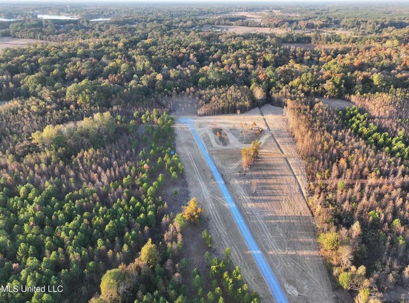 Windfall Trail, Madison, MS 39110  608920112 for Sale