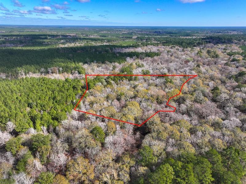 0 Off County Road 1875, Warren, TX 77625 for Sale