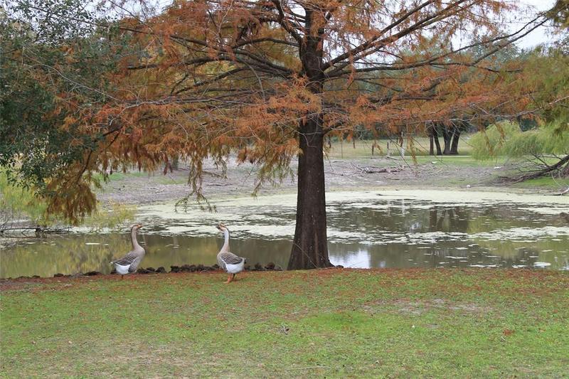 4110 Fm 609, Flatonia, TX 78941 for Sale