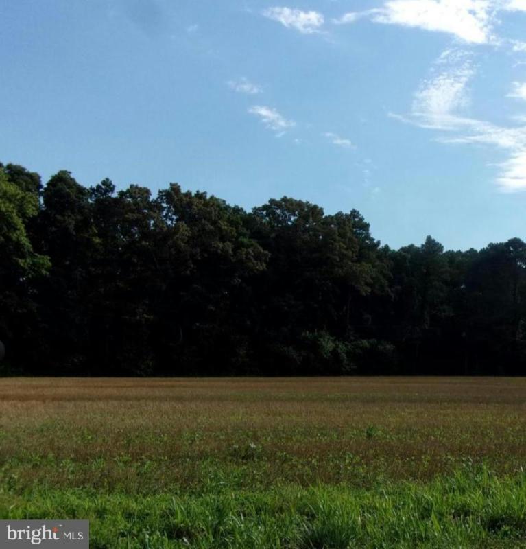 LOT.00-18.02 EAST PINEY GROVE ROAD, GEORGETOWN, DE 19947 Land For Sale  MLS# DESU2050124