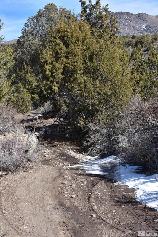 Gardnerville, Douglas County, NV Undeveloped Land for sale Property ID: 414116044