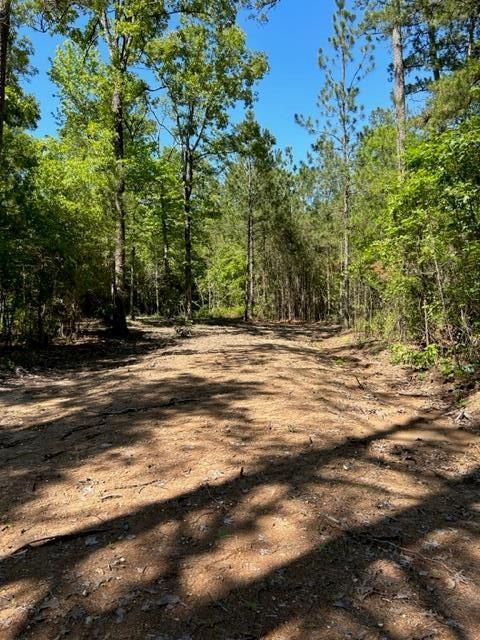 39-D Hwy 83, Broaddus, TX 75929 for Sale