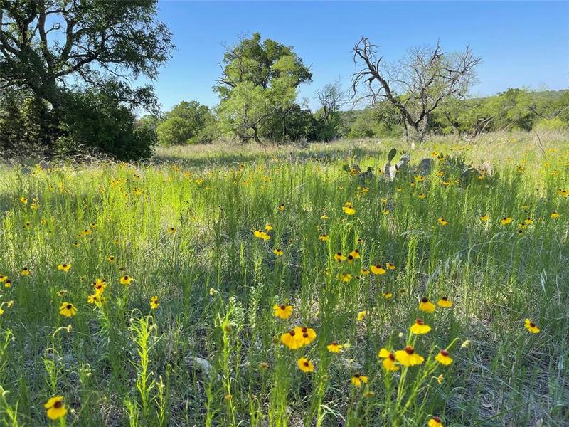 101 WHITETAIL TRAIL, San Saba, TX 76877 Land For Sale  MLS# 60757987