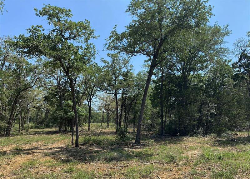 TBD High Crossing Road - Tract 12, Smithville, TX 78957 for Sale