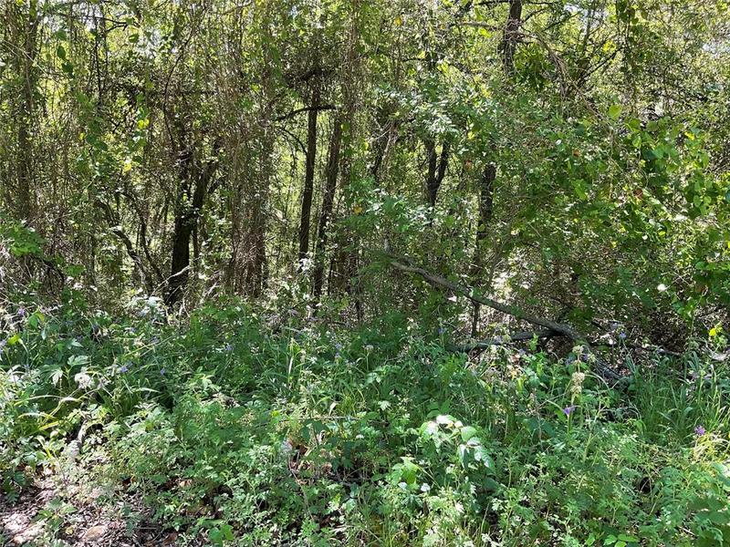 4204 Kings Ct, Austin, TX 78725 for Sale