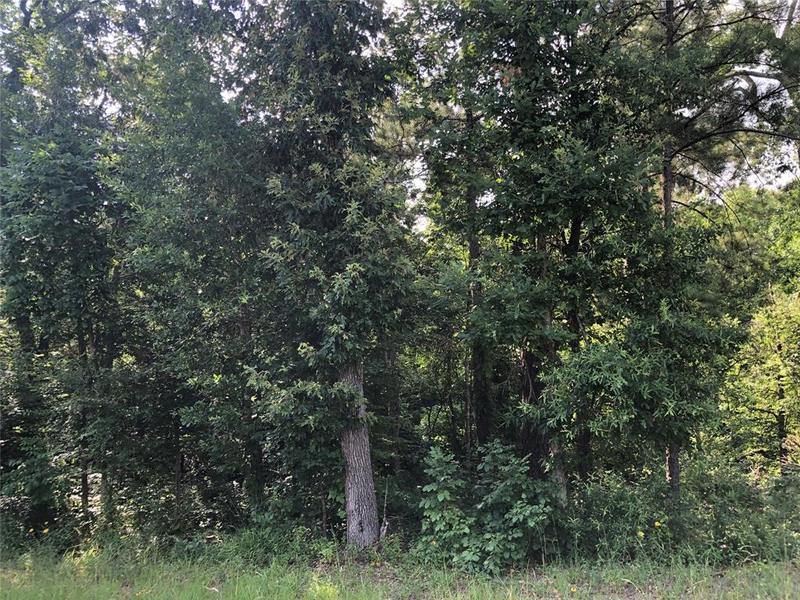 TBD Hammerbill St, Livingston, TX 77351 for Sale