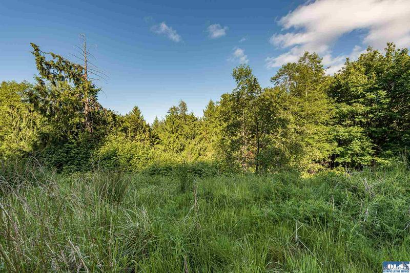 9999 ELK PASS RD, Sequim, WA 98382 Land For Sale  MLS# 350899