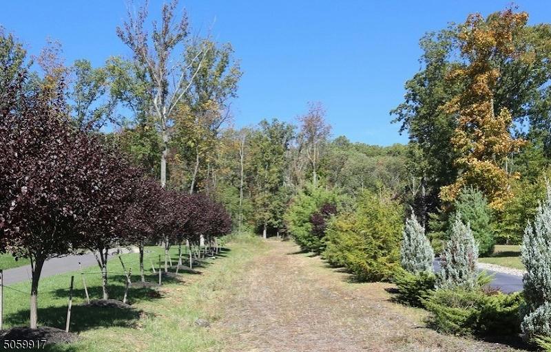 64 BRANDYWINE RISE, Green Brook Twp. NJ 08812 Land For Sale  MLS# 3849500