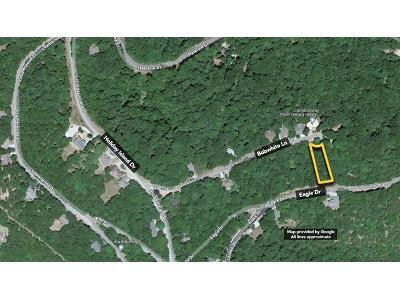 /- Acres On Bobwhite Lane for Sale