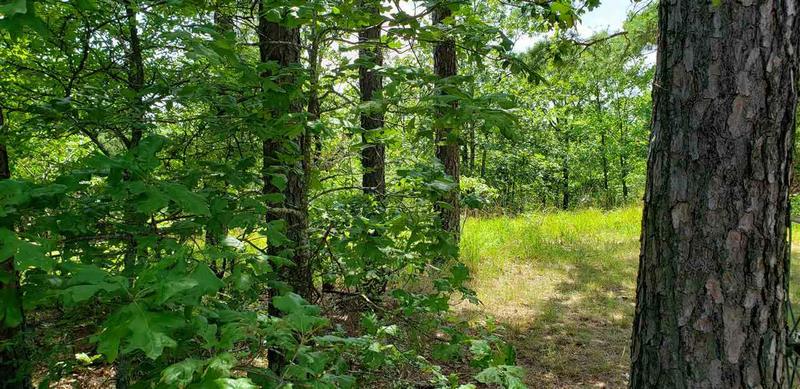 MCDERMOTT TRAIL, Mayflower, AR 72106 Land For Sale  MLS# 19021706