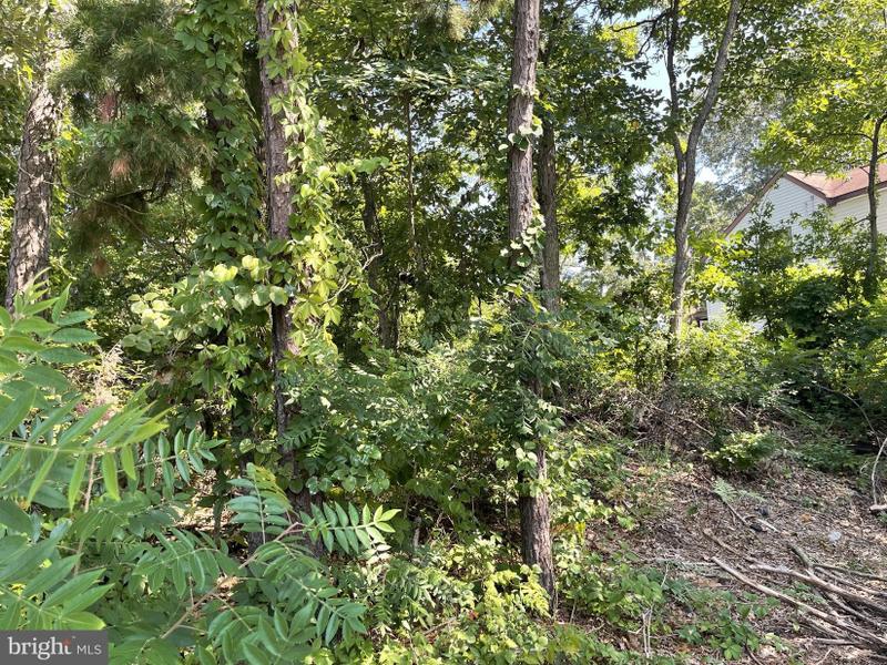 Forked River, Ocean County, NJ Undeveloped Land, Homesites for sale Property ID: 416002566