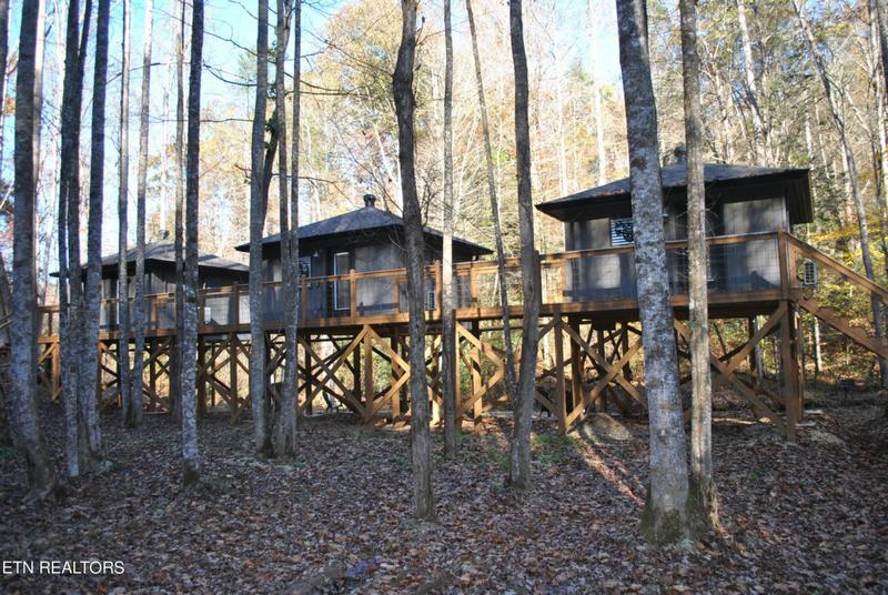 750 CANEY CREEK RD, Cosby, TN 37722 Single Family Residence For Sale  MLS# 1245046 for Rent