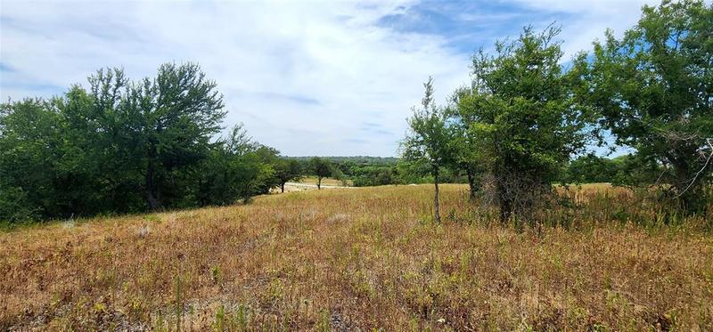 1084 Gonzollas Rd, Springtown, TX 76082 for Sale