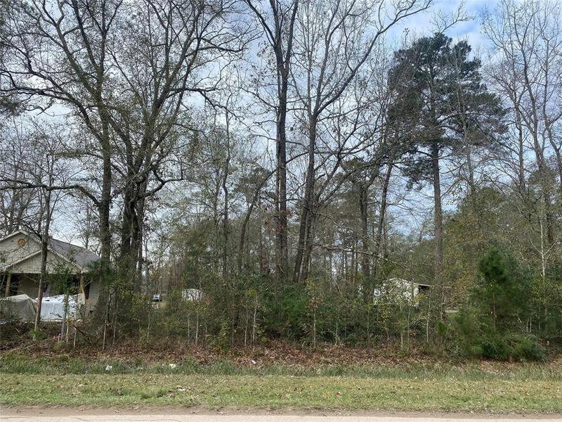 335 County Road 3662, Splendora, TX 77372 for Sale