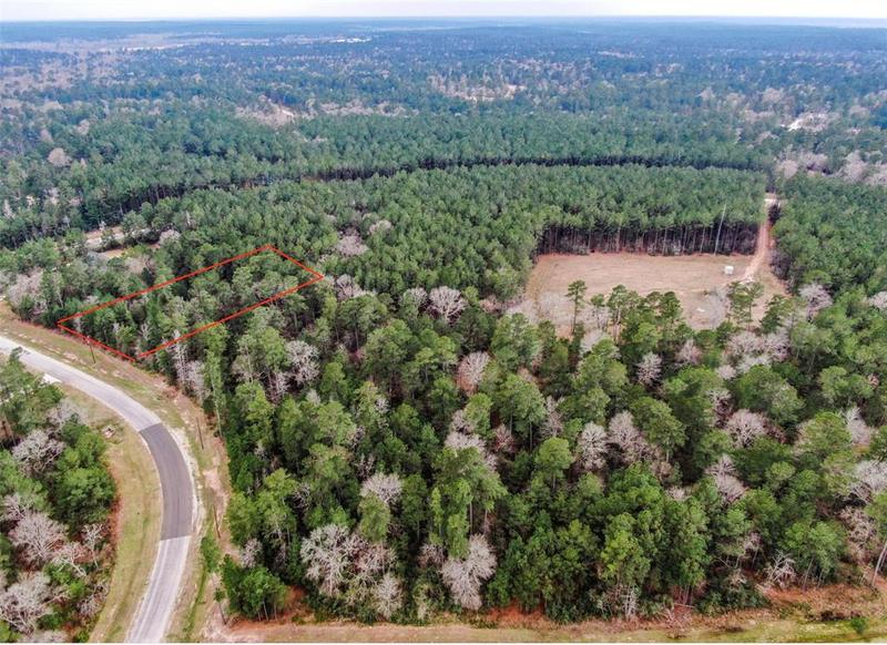 4a-17-8 Sundog Rd, Huntsville, TX 77340 for Sale