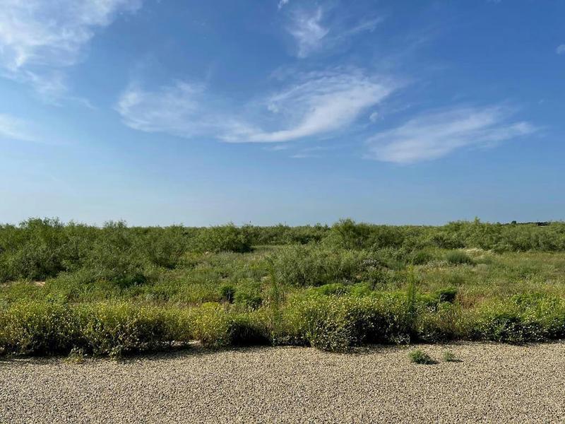 13702 E COUNTY ROAD 115, Midland, TX 79706 Land For Sale  MLS# 50058251