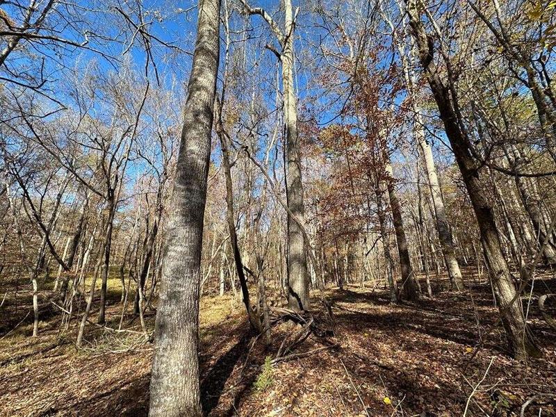 4 Wesley Ln, Union Church, MS 39668  613813161 for Sale
