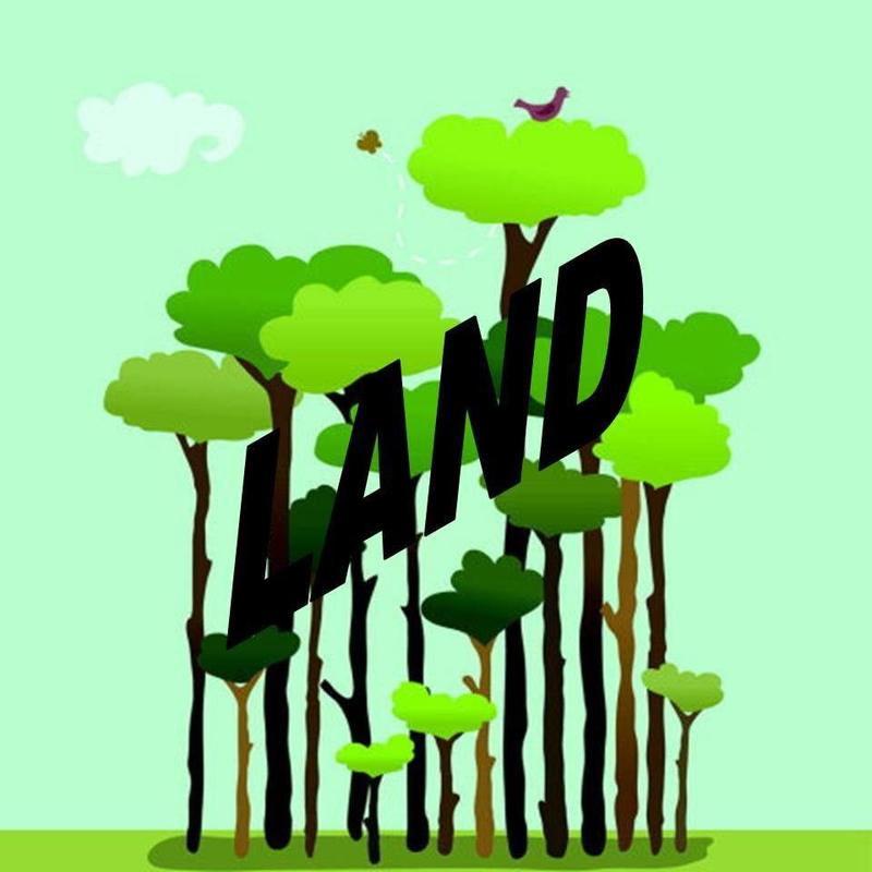 Blakes, Mathews County, VA Undeveloped Land for sale Property ID: 417709038