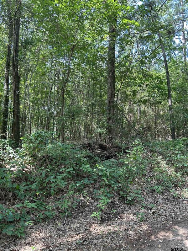 532 Jerome St, Rusk, TX 75785 for Sale