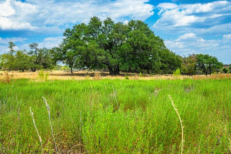 Lot 7 - N Grape Creek Rd, Stonewall, TX 78671 for Sale