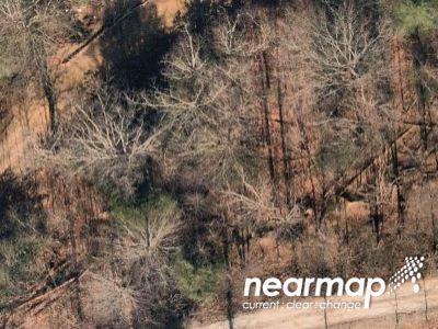 Bird Hollow Rd for Sale