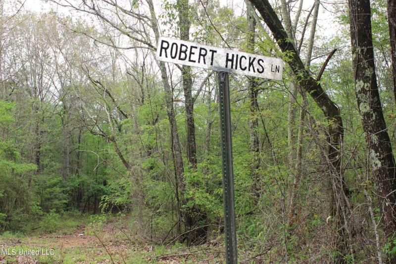 Utica, Hinds County, MS Undeveloped Land for sale Property ID: 416848929