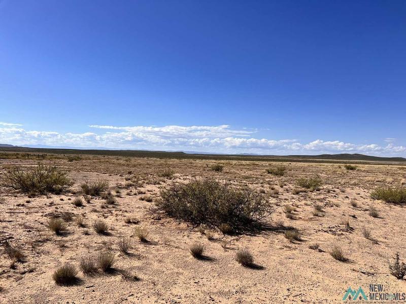 0000 Hwy 51, Engle, NM 87901  605926645 for Sale