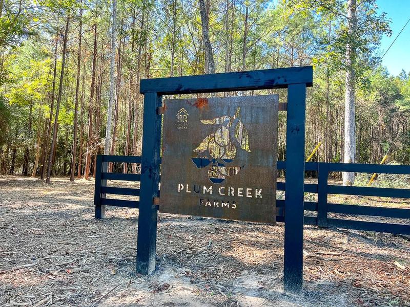 Livingston, Polk County, TX Recreational Property, Timberland Property, Hunting Property for sale Property ID: 418420613