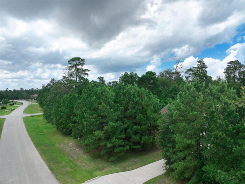 5803 White Birch Run, Spring, TX 77386 for Sale
