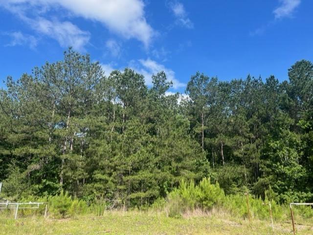 TBD Midway West Road, Livingston, TX 77351 for Sale