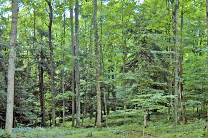 16 STIRRUP CT, Dubois, PA 15801 Land For Sale  MLS# 12-13213