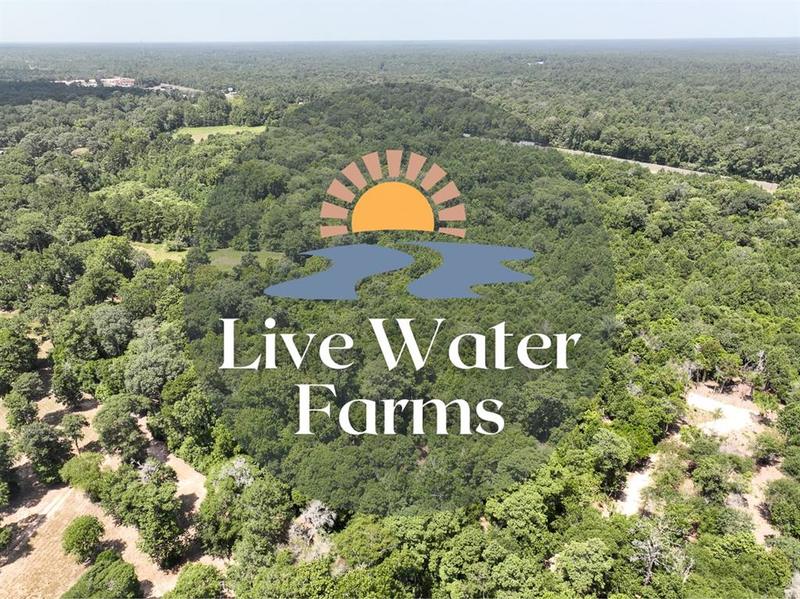 S1L3 Lake Pool Rd, Shepherd, TX 77371 for Sale