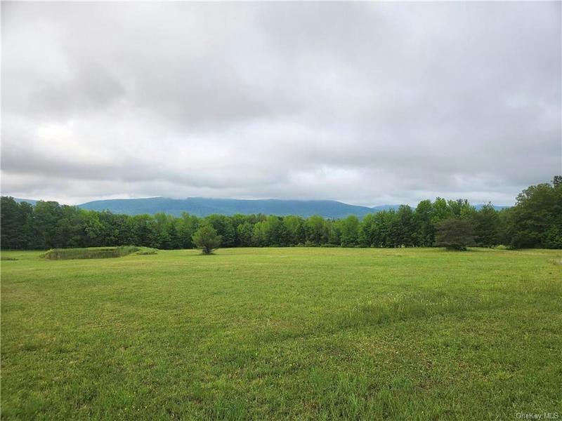 STATE HWY 10, Other, NY 13786 Land For Sale  MLS# H6254062