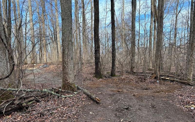 231 Bear Gap Rd, Blairsville, GA 30512  MLS# 330728 for Sale