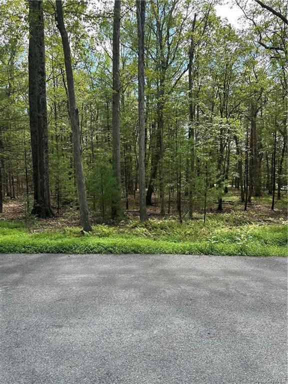MAGNOLIA DRIVE, Glen Spey, NY 12737 Land For Sale  MLS# H6266267