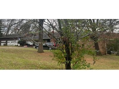 Tinker Bell Cir for Sale